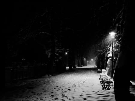 Snowy night in a park