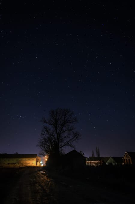 Starry night