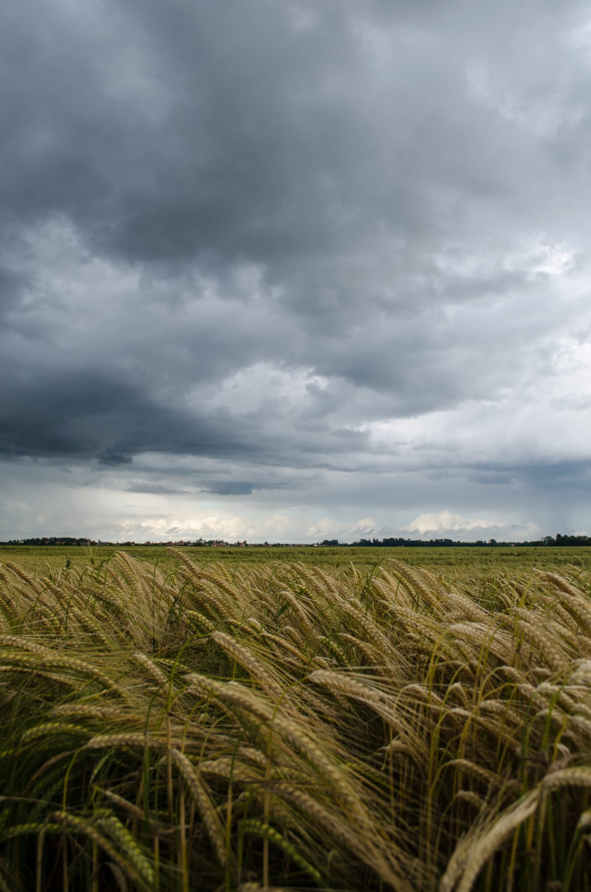 Waiting for the storm