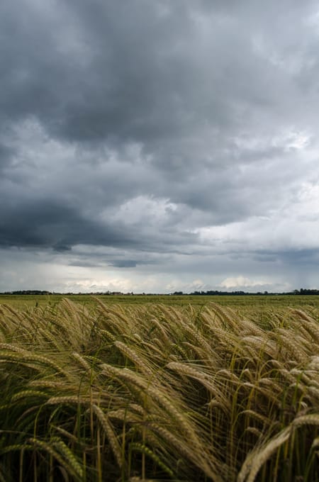 Waiting for the storm