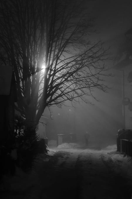 Stranger in the night