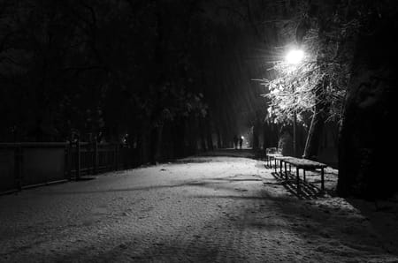 Lonely night in a park