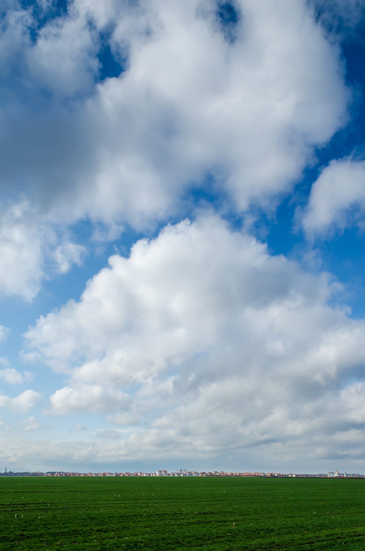 Under the vast sky