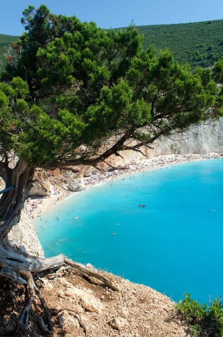 Tree overlooking Porto Katsiki beach