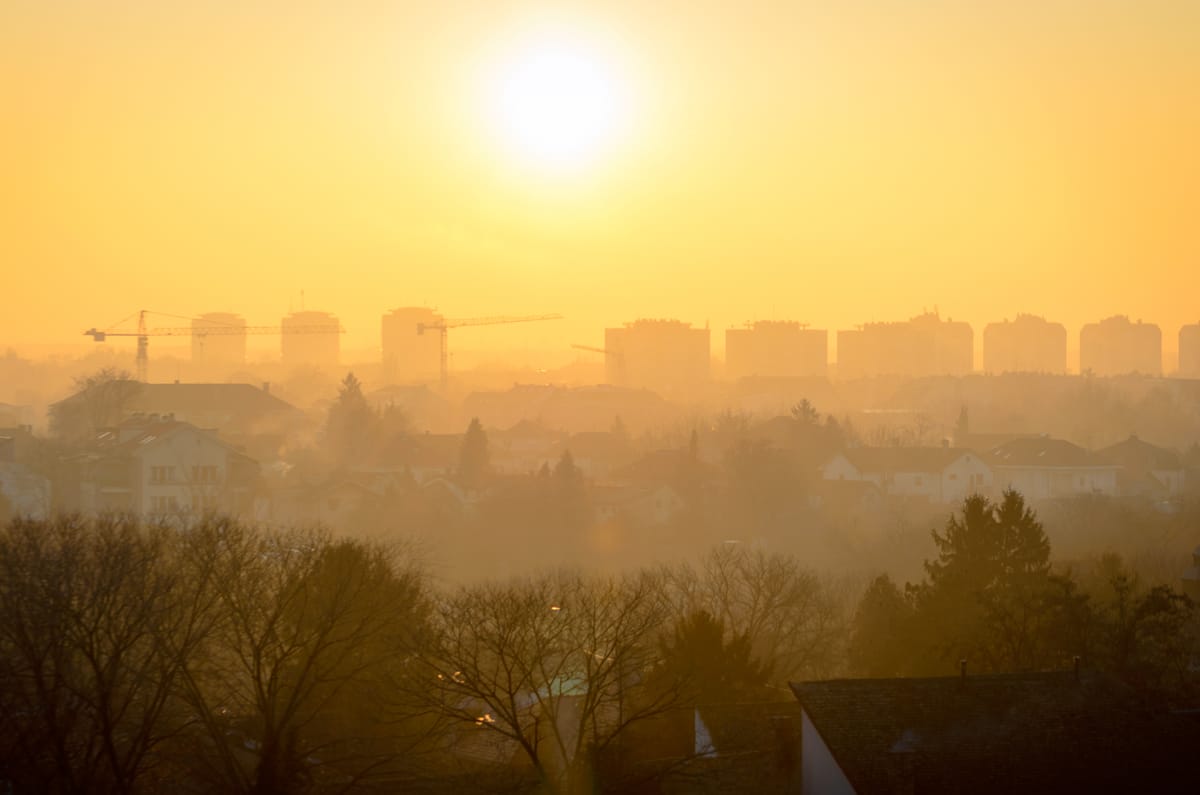 Under the yellow sun