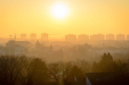 Under the yellow sun