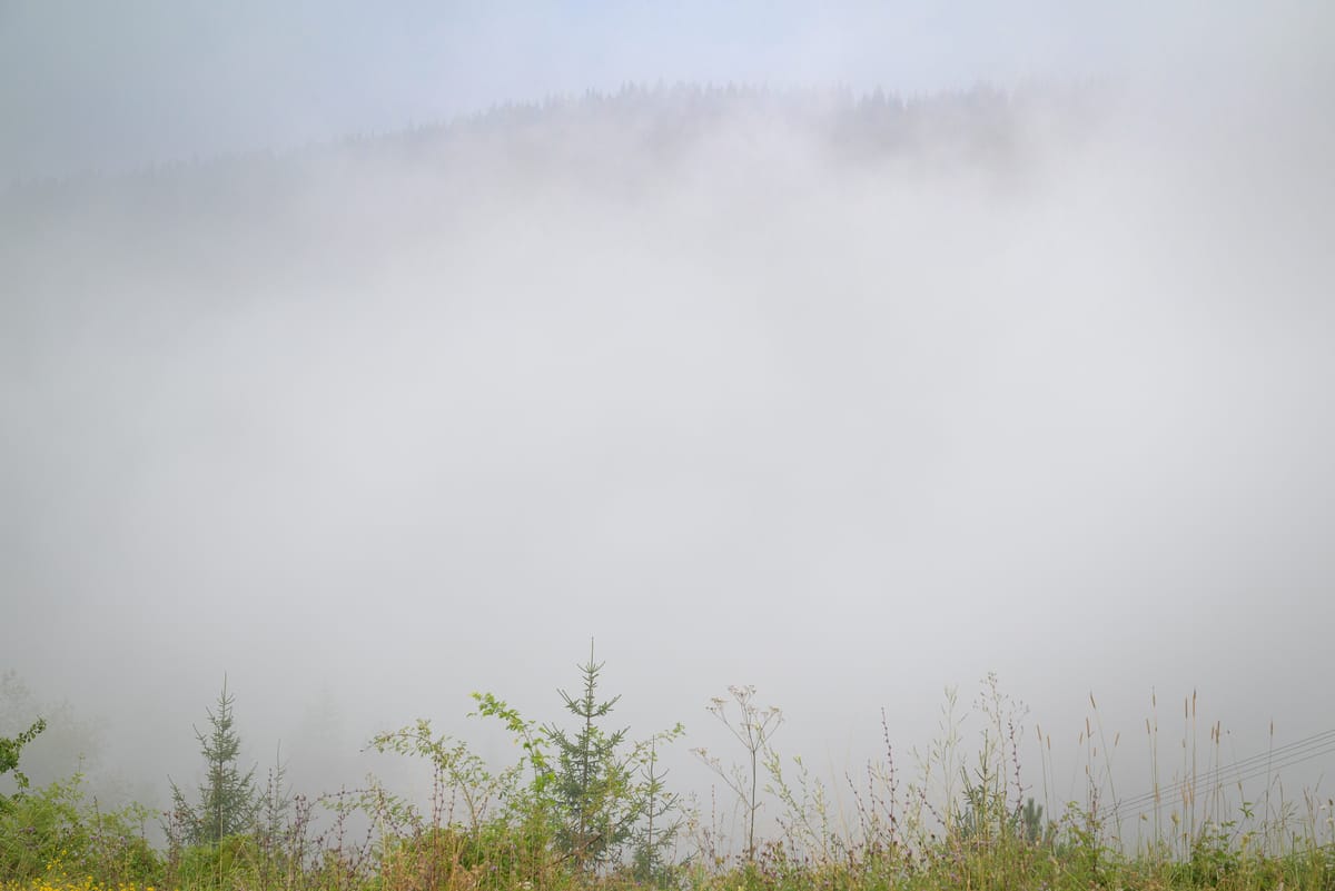Behind the fog