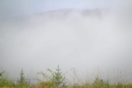 Behind the fog